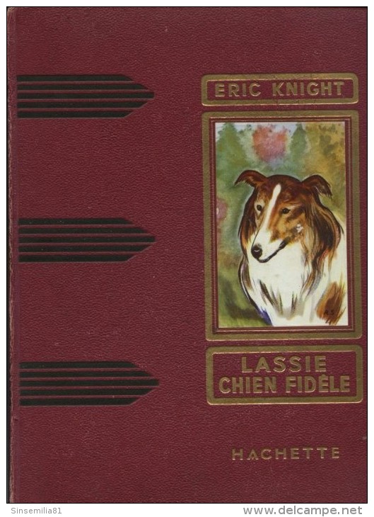 Lassie Chien Fidèle - Illustrations R. Simon ....  Eric Knight - Hachette