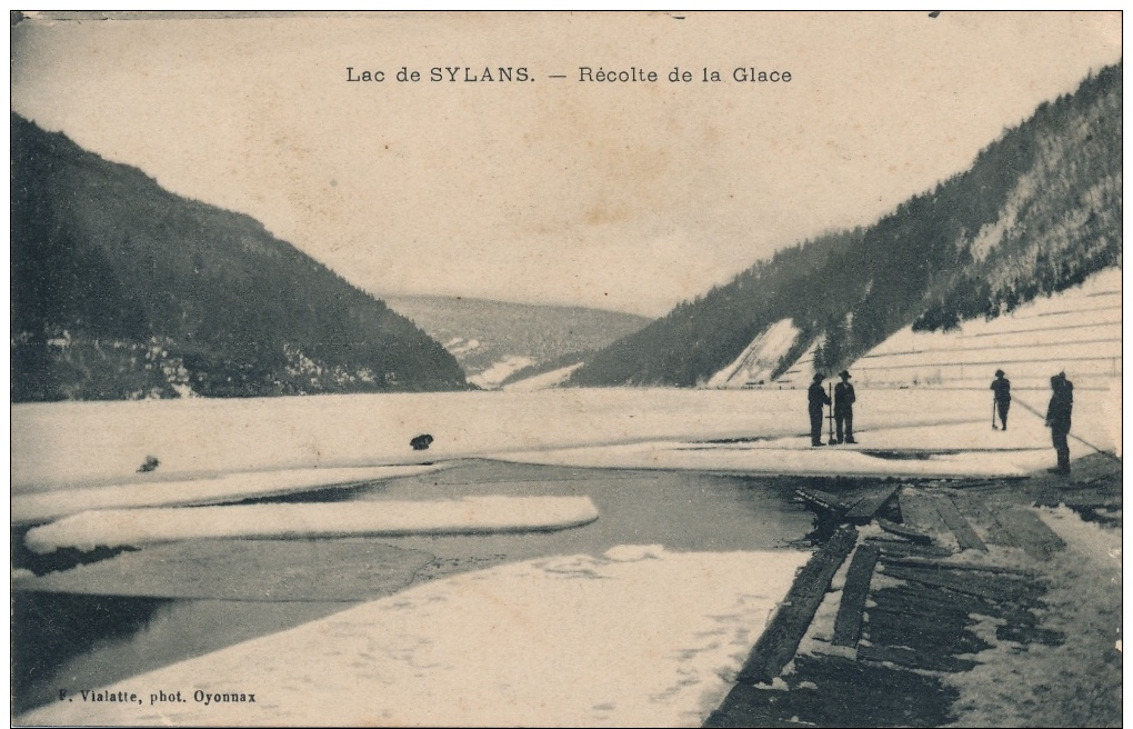 01 - LAC DE SYLANS - Ain - Récolte De La Glace - Nantua