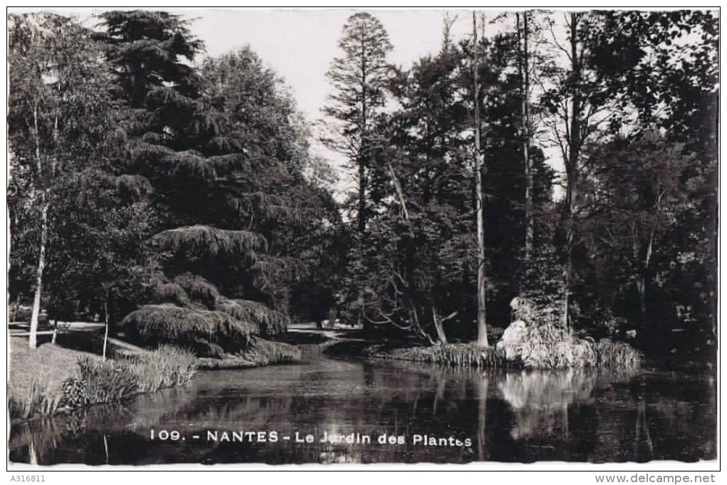 Cpsm  NANTES   Le Jardin Des Plantes - Nantes