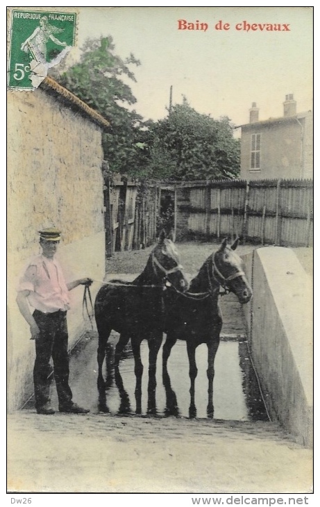 Haras - Bain De Chevaux - Carte Colorisée - Elevage