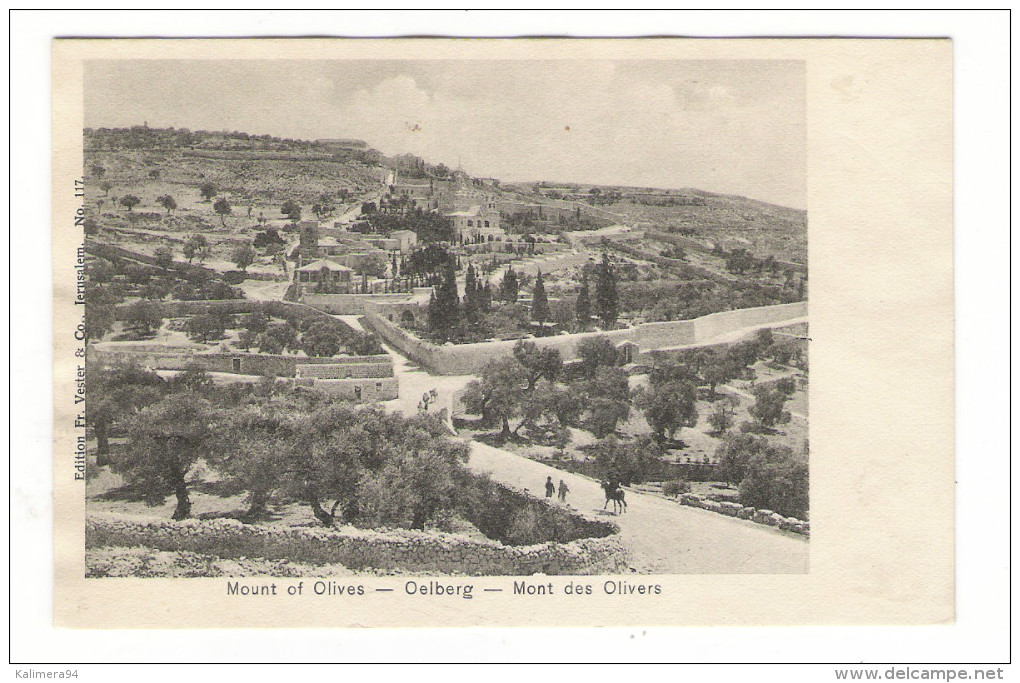 ISRAËL  /  JERUSALEM  /  OELBERG  /  MONT  DES  OLIVIERS  /  CPA  PRECURSEUR  ( éditée Avant 1904 ) - Israel