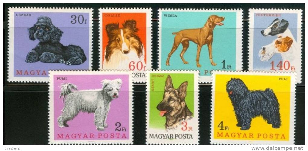 HUNGARY - 1967.Hungarian Dogs Cpl.Set MNH! - Unused Stamps