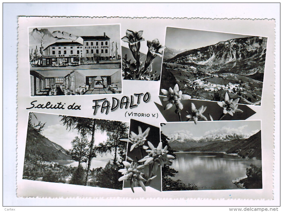 9848  CPM  Saluti Da FADALTO ( Vittorio V )  Carte Photo Multivues - Treviso