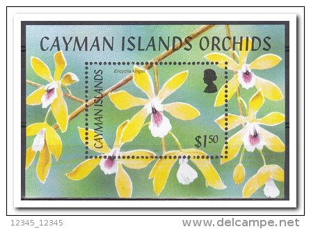 Kaaiman Eilanden 2005, Postfris MNH, Flowers, Orchids - Kaaiman Eilanden