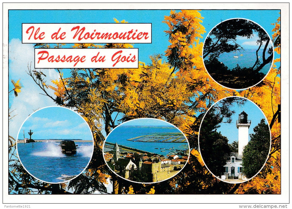 ILE DE NOIRMOUTIER MULTIVUES (DIL185) - Ile De Noirmoutier
