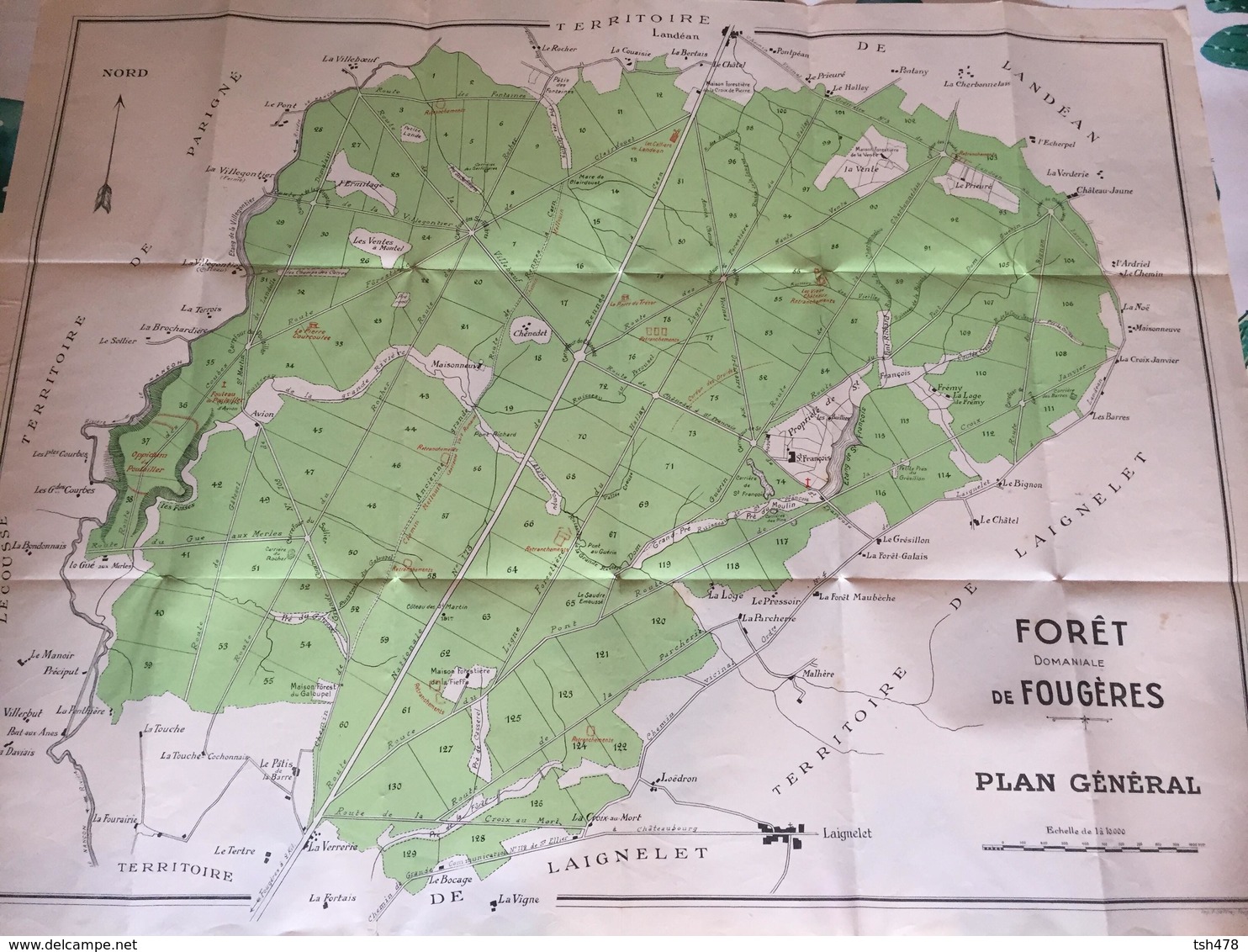 35---ille Et Vilaine----CARTE DE LA FORET DE FOUGERES--forêt Domaniale--plan Général--voir 4 Scans - Autres & Non Classés