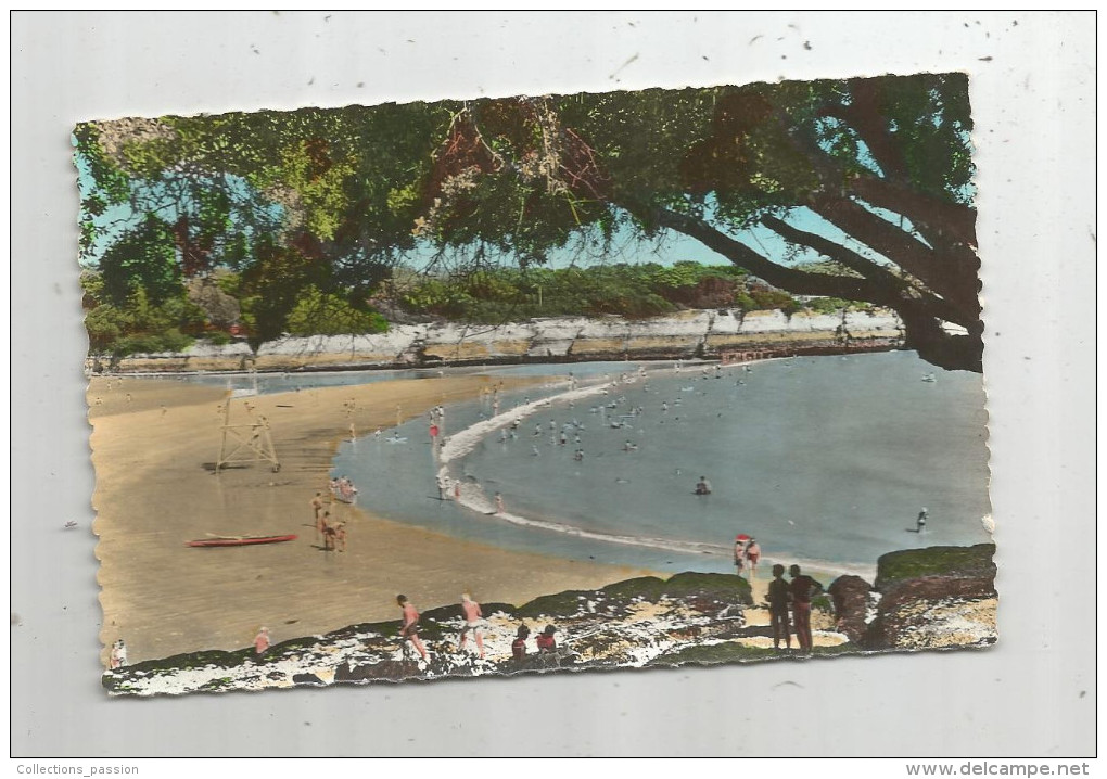 G-I-E , 17 , VAUX - NAUZAN , Vierge , La Plage , Edition D'art Videau , N° 2 - Vaux-sur-Mer