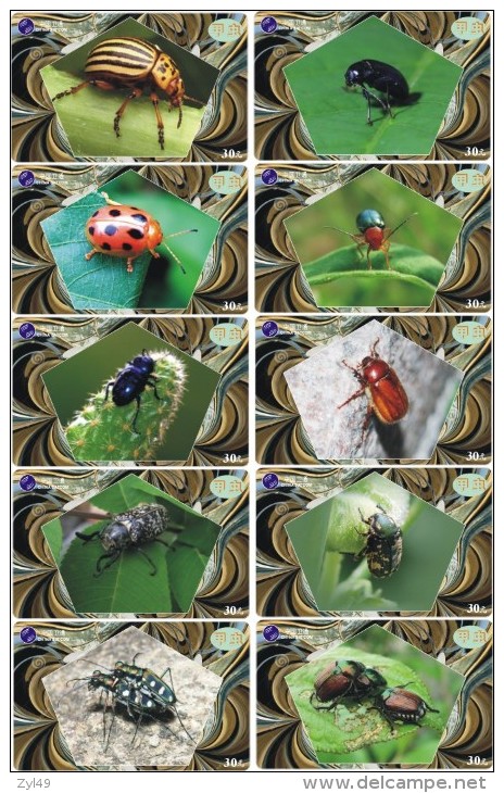 A02426 China phone cards Bettle 100pcs