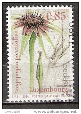 Timbre Luxmbourg Y&T N°? (1) De 2014. Oblitéré. 0.85 &euro;. Tragopogon Porrifolius. Cote ? &euro; - Used Stamps