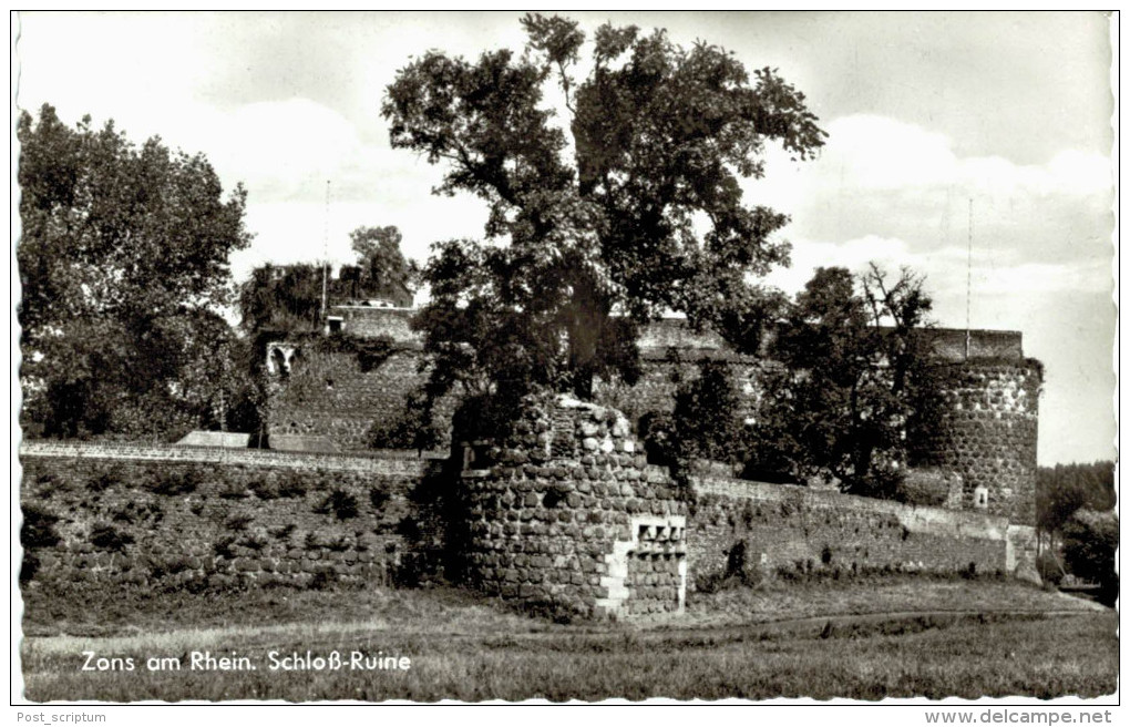 Allemagne - Dormagne - Zons Am Rhein Schloss Ruine - Dormagen