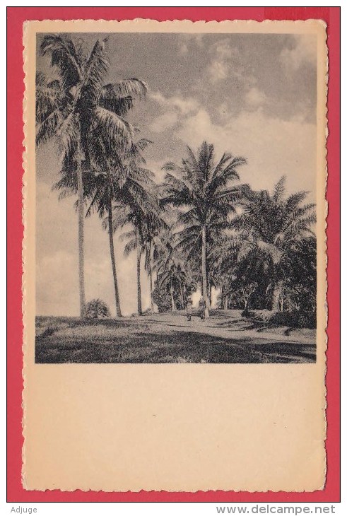 CPA - CONGO * COQUILHATVILLE * (Mbandaka)*Le Long Du Fleuve * Ed. Ph. Dandoy * VOIR Scan Recto / Verso - Kinshasa - Léopoldville