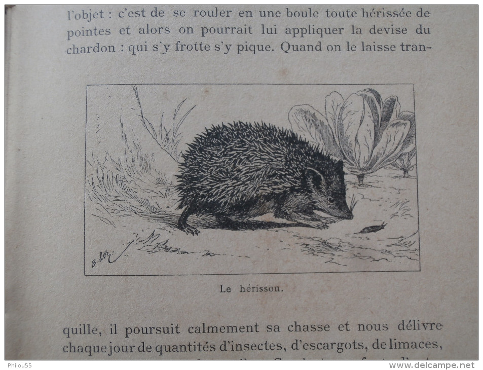 LES ENNEMIS DE NOS JARDINS par L. LAFOREST1897 ABBEVILLE C.PAILLART      illustrateur  ETAT