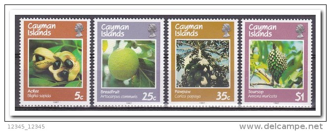 Kaaiman Eilanden 1987, Postfris MNH, Fruit - Kaaiman Eilanden