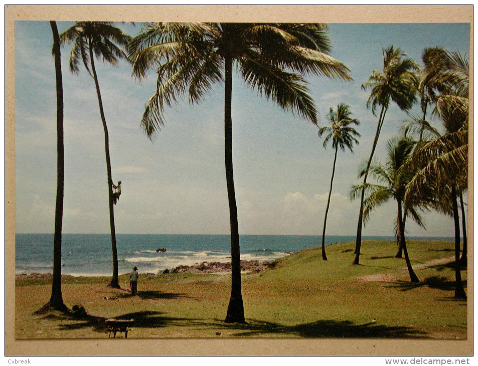 Salvador - Bahía, Jardim De Alah - Salvador De Bahia