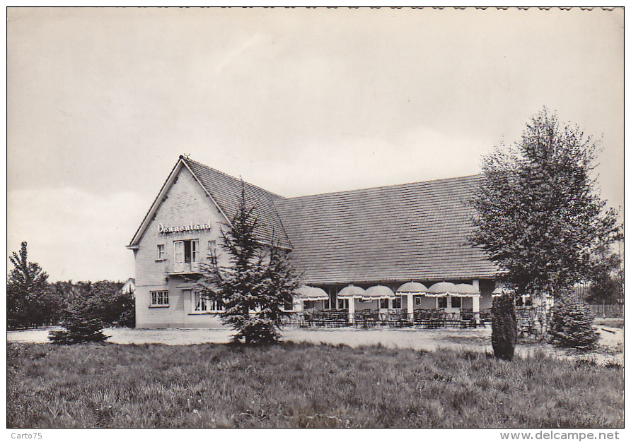 Belgique - Waasmunster - Hotel Restaurant Denneland - Cachet 1953 - Waasmunster