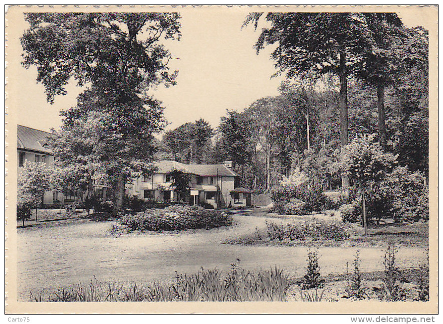 Belgique - Orp-Jauche - Maison Cure Charles De Hemptinne - Orp-Jauche