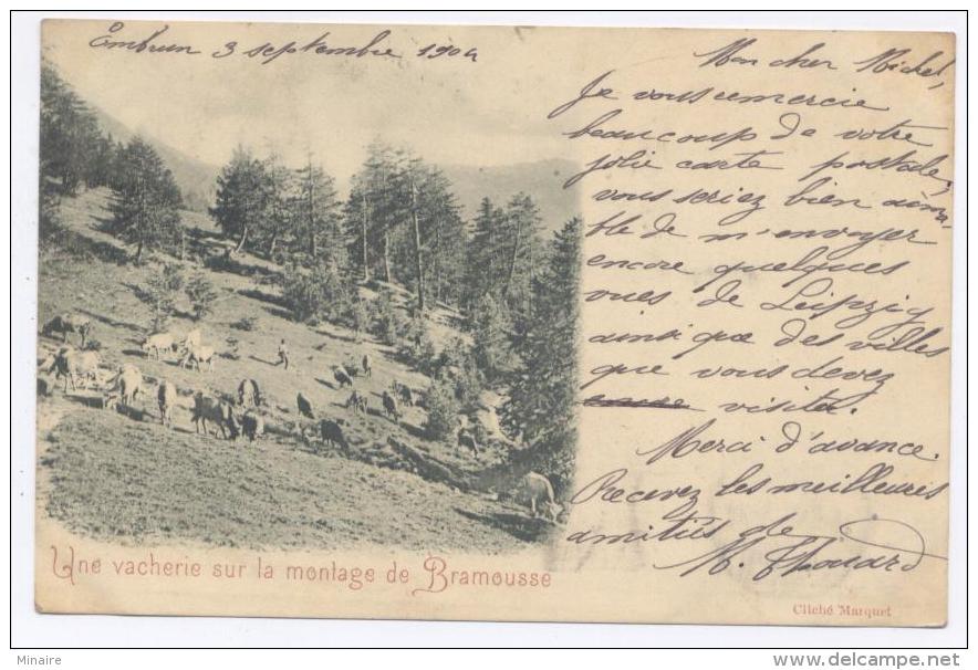 Près De GUILLESTRE, CEILLAC, Vacherie Sur La Montagne De BRAMOUSSE -1904 -dos Simple- Bon état 2 Scans - Guillestre