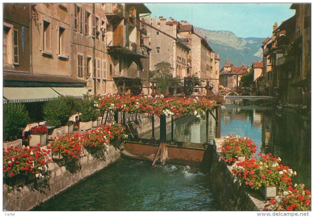 CPM - 74 - LE VIEIL ANNECY - Le Canal Du Thiou Aux Rives Fleuries - Annecy-le-Vieux