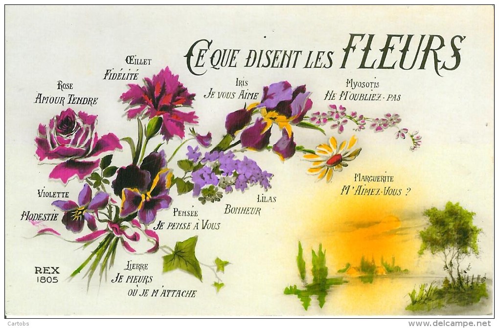 Ce Que Disent Les Fleurs - Autres & Non Classés