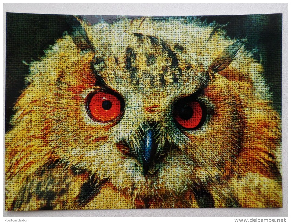 OWL - 2 PCs Lot - Modern Art Postcard  - Eagle-owl - Uccelli