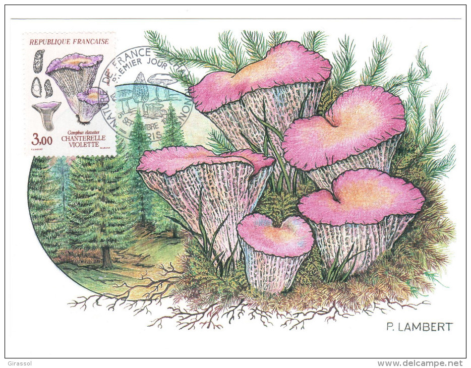 CPSM CHAMPIGNON CHANTERELLE VIOLETTE DESSIN P LAMBERT  1 ER JOUR MAXIMUM TIMBRE 1987 FRANCE - Mushrooms