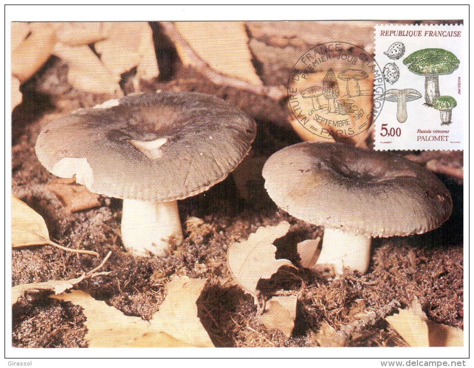 CPSM CHAMPIGNON LE PALOMET RUSSULA VIRESCENS  PHOTO  1 ER JOUR MAXIMUM TIMBRE 1987 FRANCE - Mushrooms