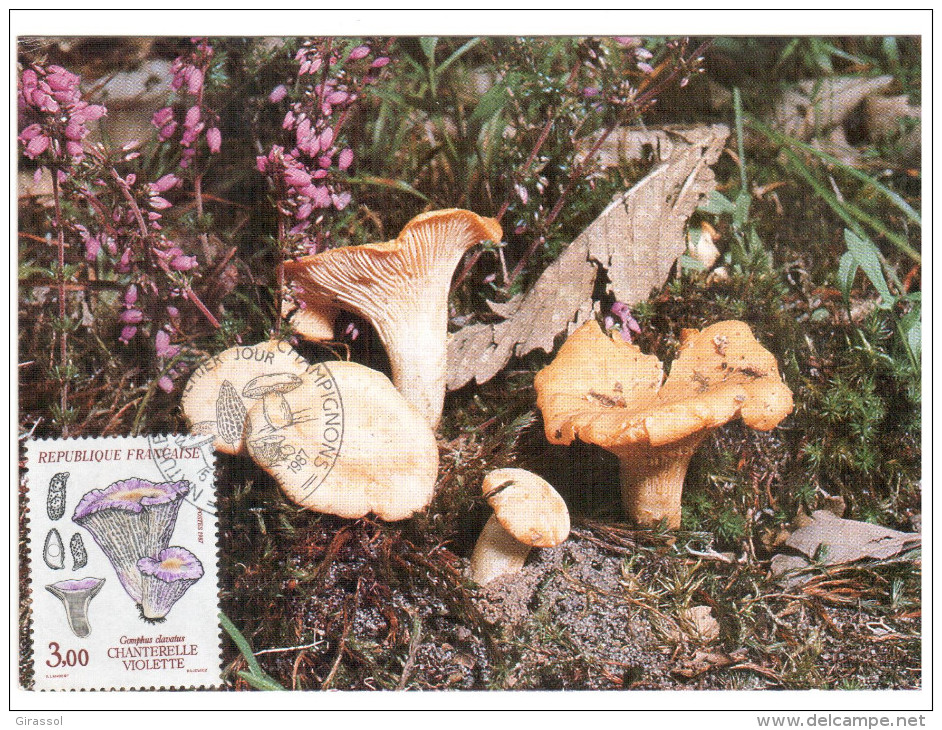 CPSM CHAMPIGNON LA CHANTERELLE VIOLETTE  PHOTO  1 ER JOUR MAXIMUM TIMBRE 1987 FRANCE - Pilze