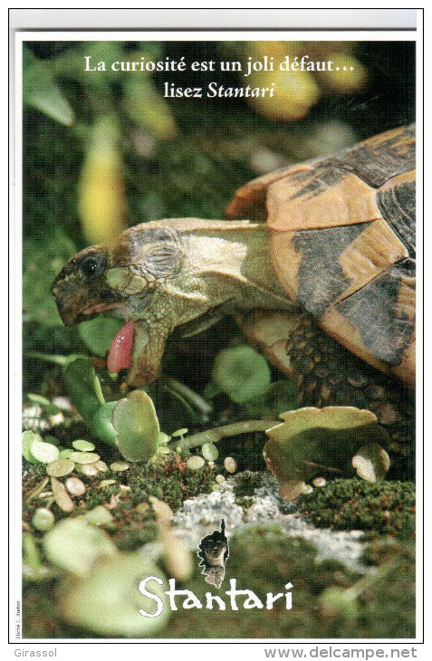 CPM TORTUE CORSE PUB STANTARI CONTOUR DEPARTEMENT REGION CORSE - Tortues