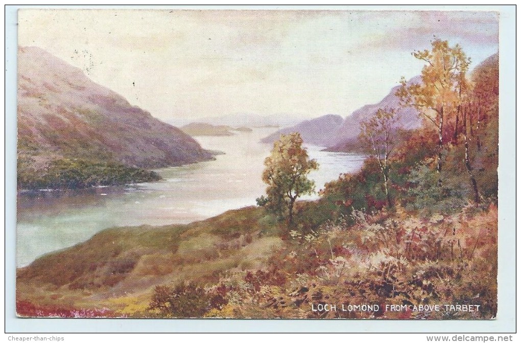 Loch Lomond From Above Tarbet - Art Colour - Other & Unclassified