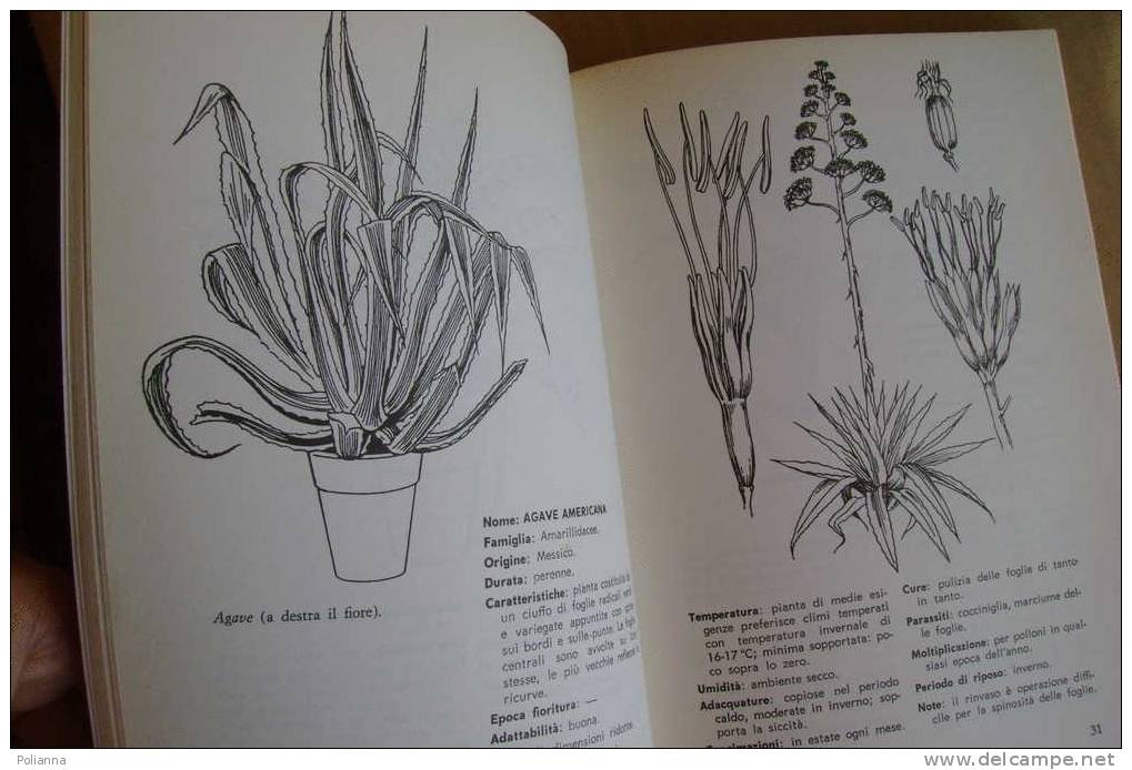 L/68 Fausto Gorini LE PIANTE DA APPARTAMENTO De Vecchi 1985 - Gardening