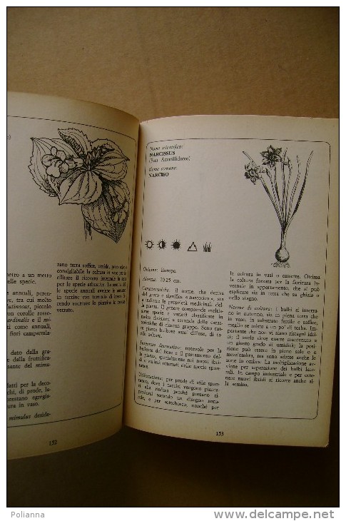 L/83 G.Magrini GUIDA VERDE Oscar Mondadori 1975/piante/fiori - Jardinería