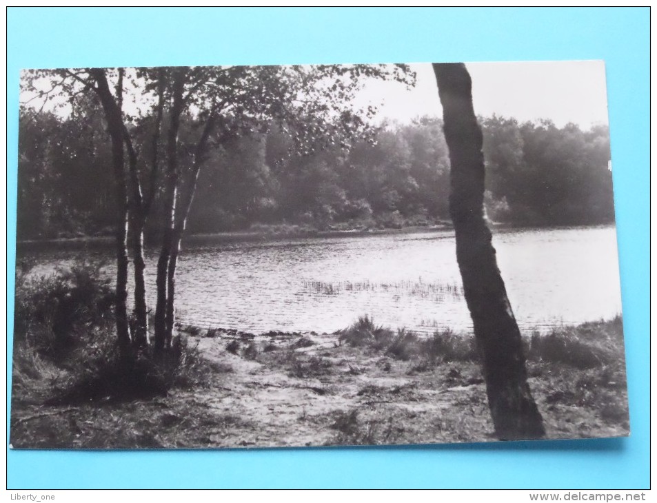 OISTERWIJK Vacantie En Conferentie Centrum  " De STAALBERG " () Anno 1955 ( Zie Foto Voor Details ) !! - Autres & Non Classés