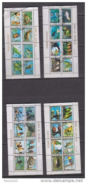 Lot De 4 Blocs Timbres UMM AL QIWAIN OISEAUX EXOTIQUES - Umm Al-Qiwain