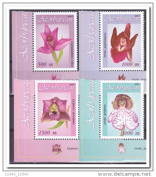 Azerbeidzjan 2005, Postfris MNH, Flowers, Orchids - Azerbaiján