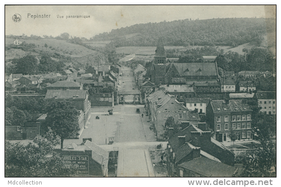 BELGIQUE PEPINSTER / Vue Panoramique / - Pepinster