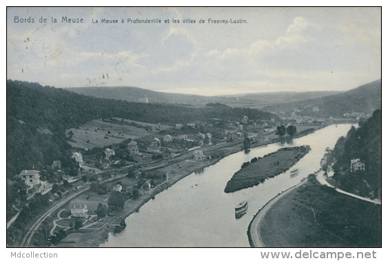 BELGIQUE PROFONDEVILLE / La Meuse à Profondeville Et Les Villas De Fresnex-Lustin / - Profondeville