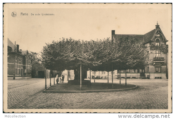 BELGIQUE RETIE / De Oude Lindeboom / - Retie