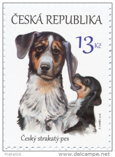 Czech Rep. / Stamps (2016) 0875: The Czech Spotted Dog (formerly Horák’s Laboratory Dog); Painter: Zdenek Danek - Neufs