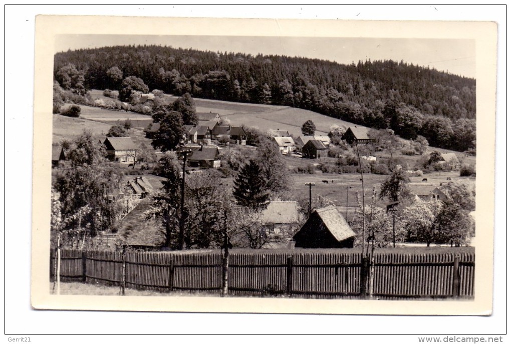0-8701 SCHÖNBACH, Panorama, 1956 - Neusalza-Spremberg