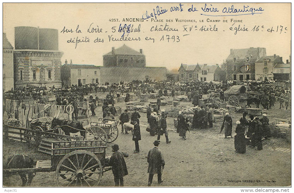 Dép 44 - Attelage De Chevaux - Animaux - Cochons - Ancenis - Place Des Victoires - Le Champ De Foire - 2 Scans - état - Ancenis