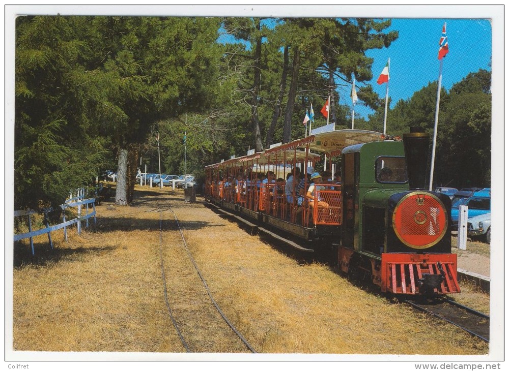 17 - Île  D'Oléron     Petit Train Touristique De Saint-Trojean - Ile D'Oléron