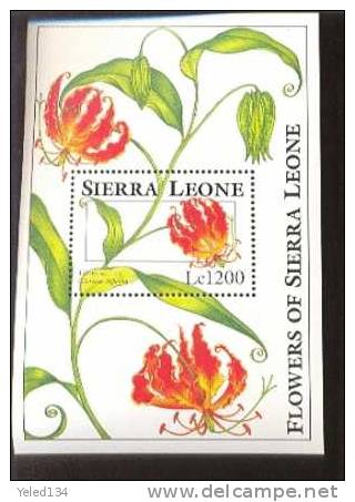 SIERRA LEONE  1669  MINT NEVER HINGED SOUVENIR SHEET OF FLOWERS - ORCHIDS   #  726-1   ( - Altri & Non Classificati