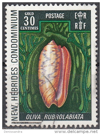 Nouvelles Hebrides 1972 Michel 328 O Cote (2005) 1.00 Euro Coquillage Oliva Rubrolabiata Cachet Rond - Used Stamps