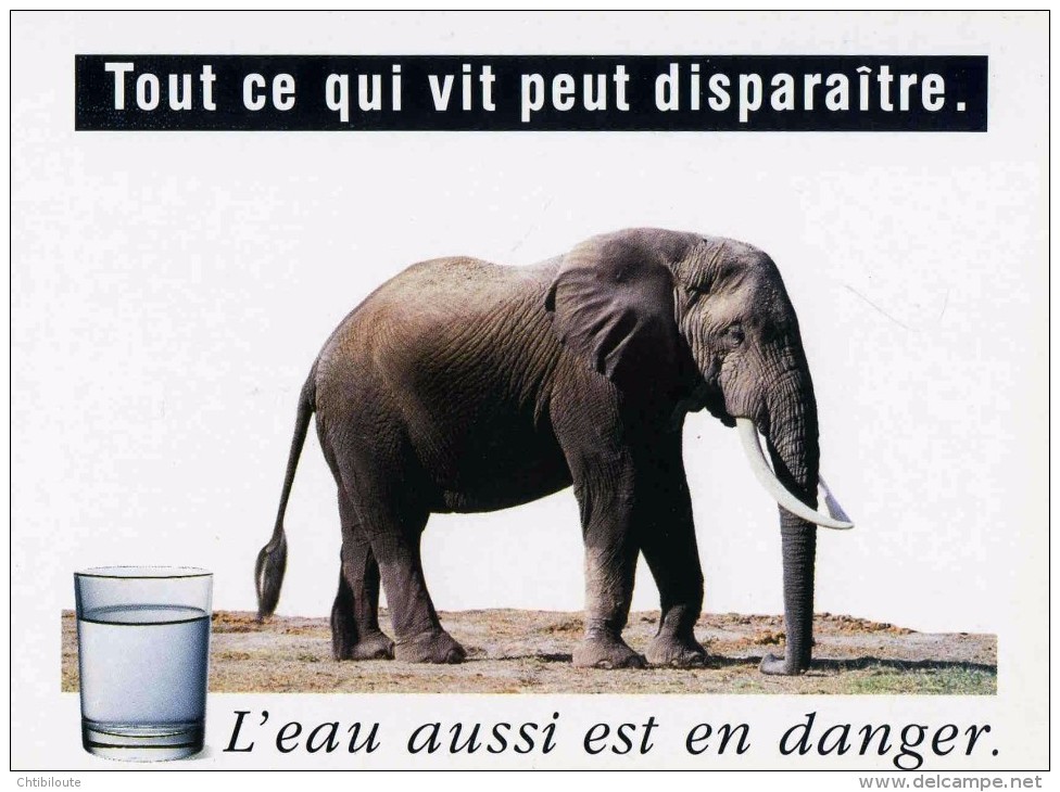 PUBLICITE   L 31  "  L'EAU EN DANGER  /  ED HUMOUR A LA CARTE N° PU 610    "   CPM / CPSM  10X15 TBE - Advertising