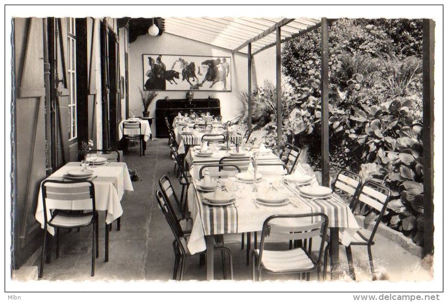 Cpsm Ph.  9x14  Ciboure Saint Jean De Luz Hotel "Helro Baïta" H. Doumenjou, Propriétaire. La Salle à Manger Dans La Natu - Ciboure