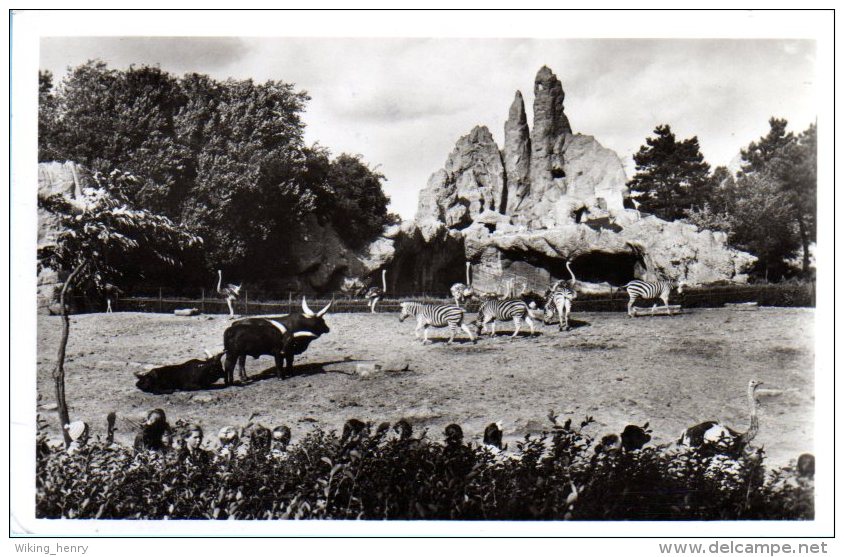 Hamburg Stellingen - S/w Carl Hagenbeck´s Tierpark 2 - Stellingen