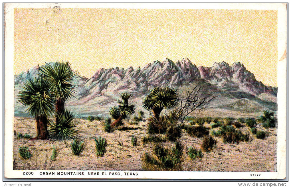 USA - TEXAS - Organ Mountains Near El Paso - Autres & Non Classés