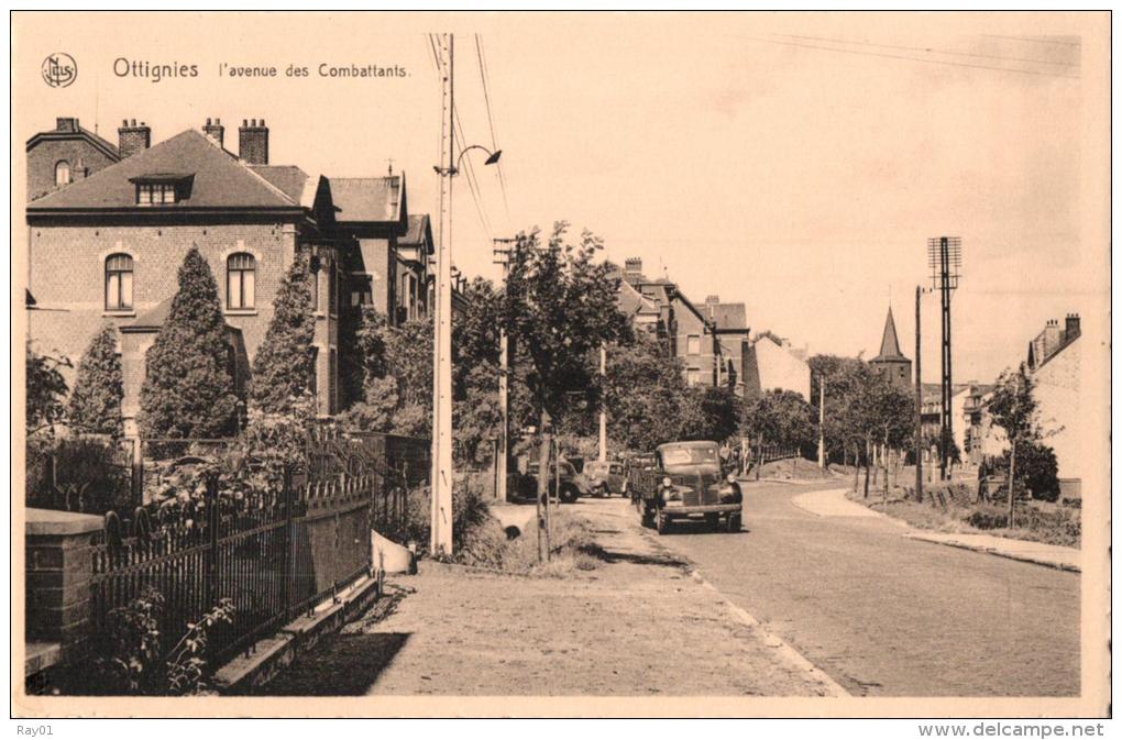 BELGIQUE - BRABANT WALLON - OTTIGNIES-LOUVAIN-LA-NEUVE - OTTIGNIES - L'avenue Des Combattants. - Ottignies-Louvain-la-Neuve