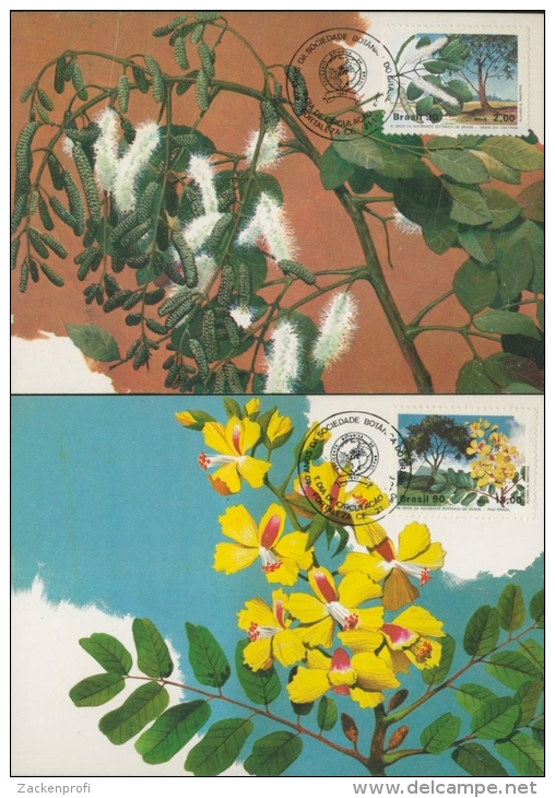 Brasilien 1990 Botanische Gesellschaft Maximumkarten 2340/41 MK (X11765) - Covers & Documents