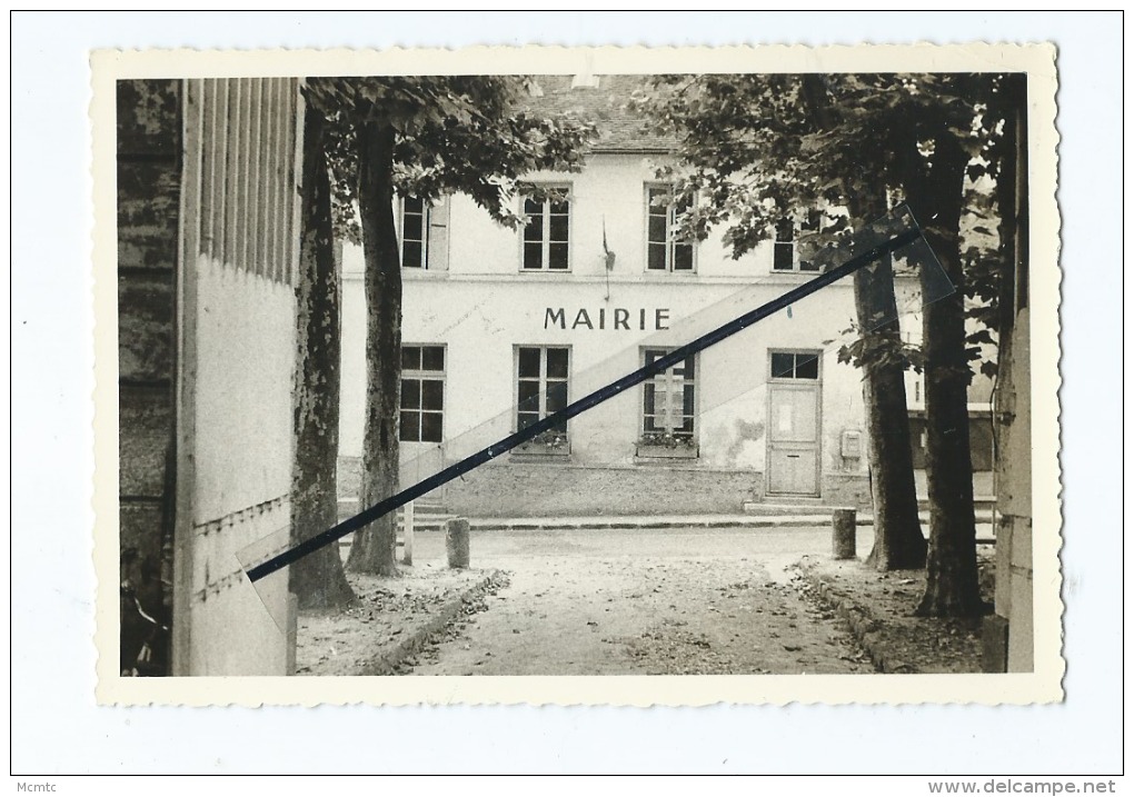 Photo :   écrit  Verso :   Marolles  En Brie  - Mairie - Marolles En Brie